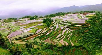 ����ɽ�^(q��)�r(n��ng)�C(j��)���l(f��)չ��(w��n)�}���������h www.jiangtudianzi.com